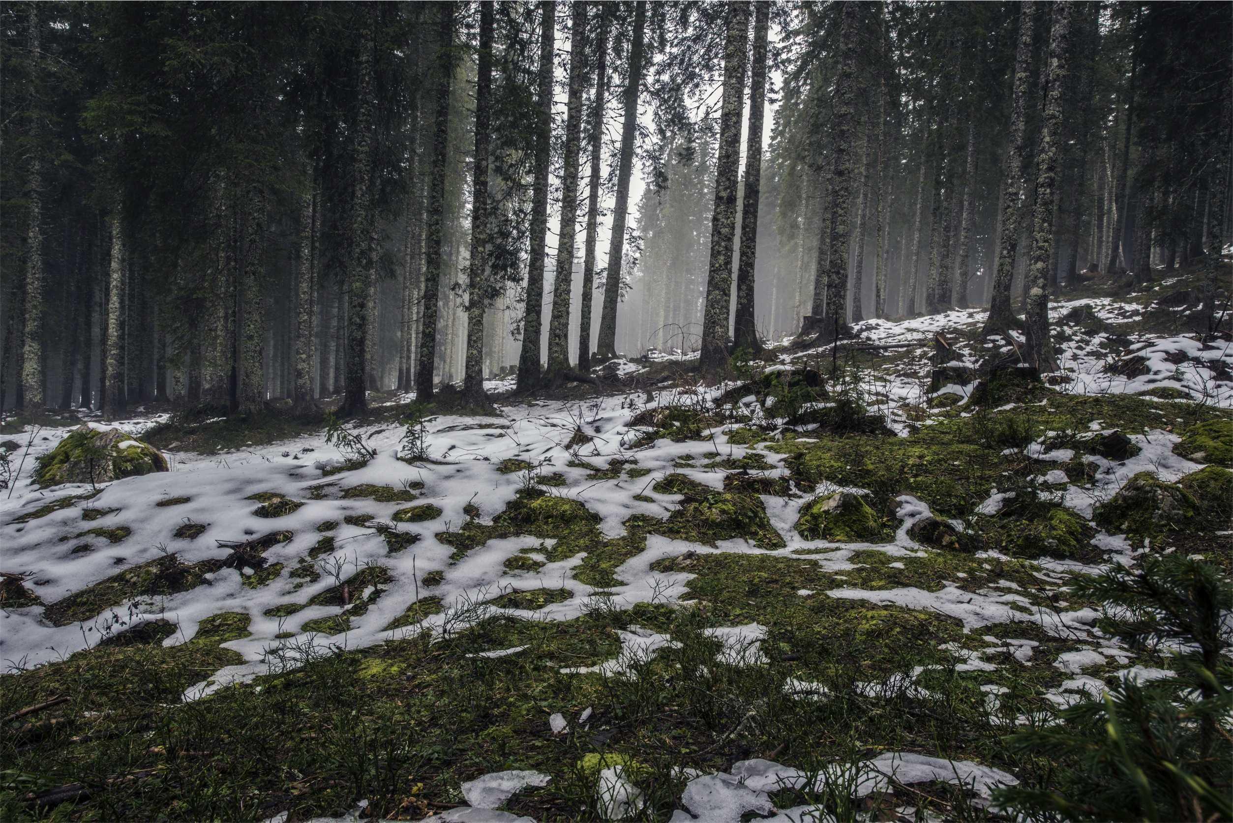Очисна церемонія Рапе