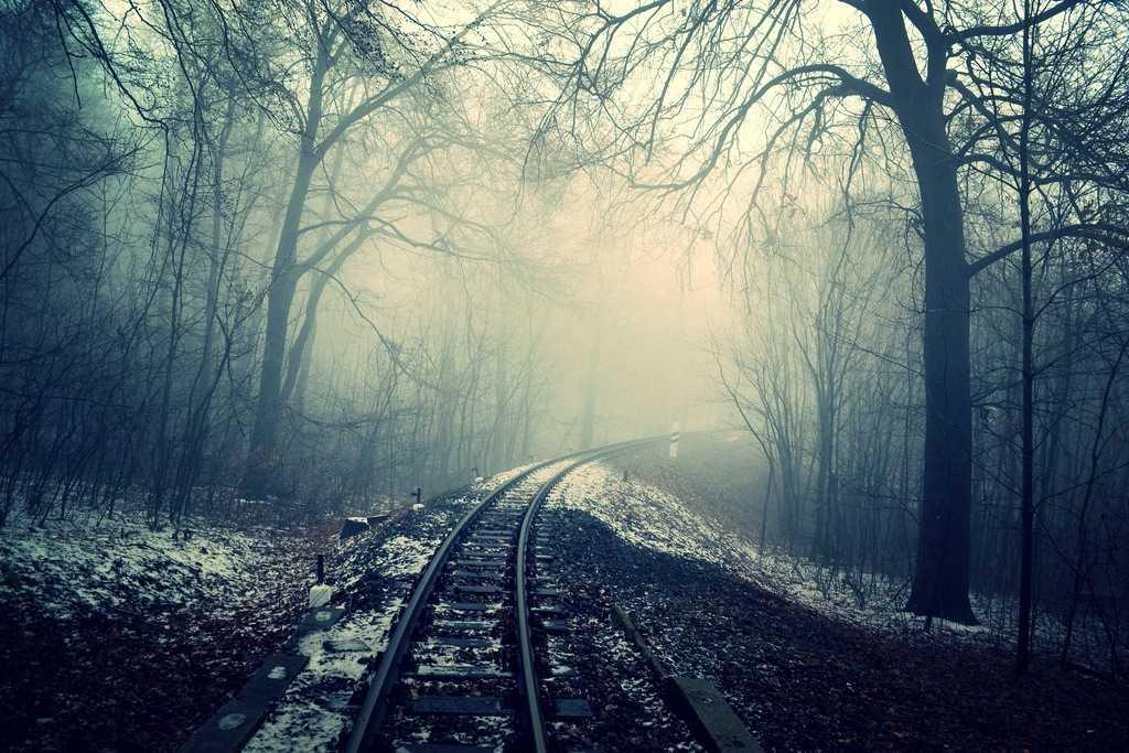 Розстановки за Хелінгером